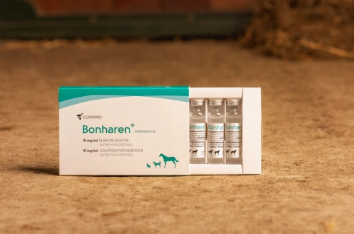 Bonharen IV 10 mg/ml