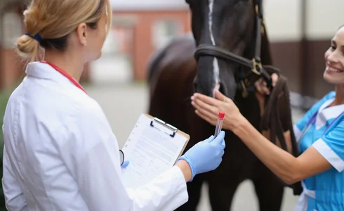 Assortiment diergeneesmiddelen