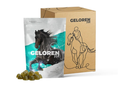 Gerloren HA Pferd