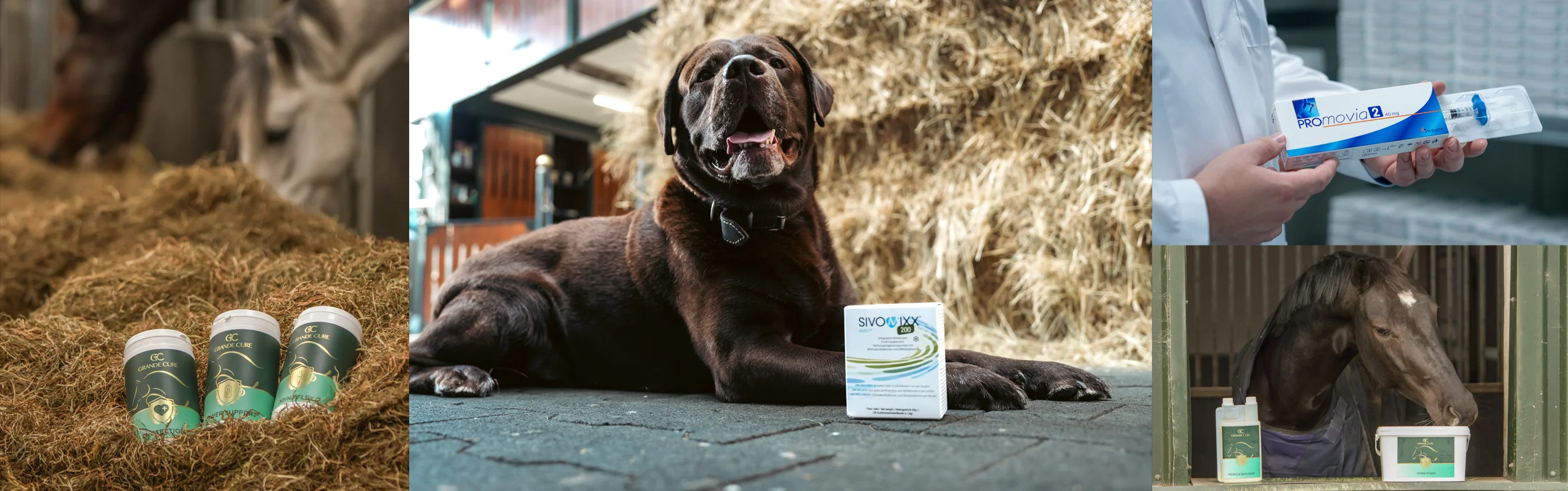 Voor professionals, door professionals